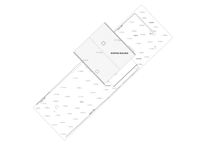 Survey drawing showing site boundaries and the extent of the survey area
